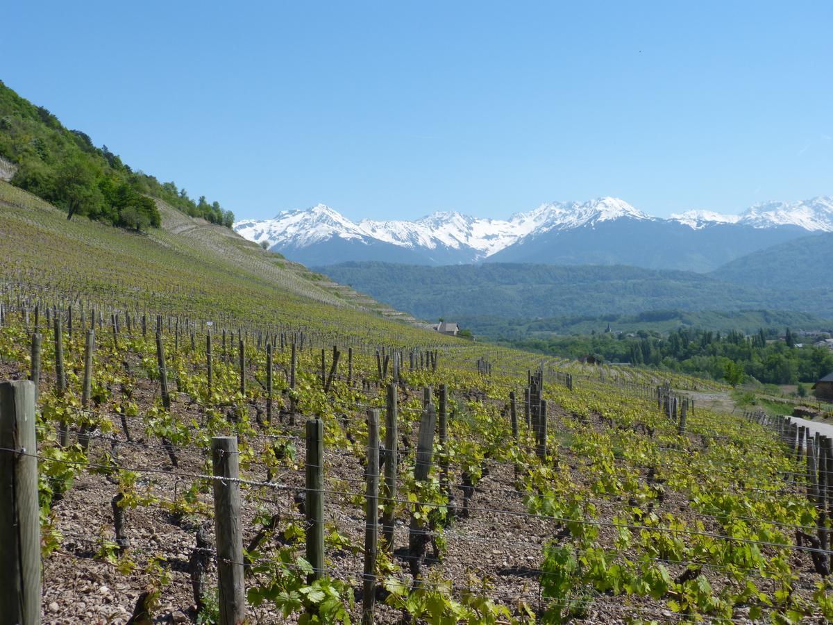 La Cle Des Champs Montmélian Exterior foto